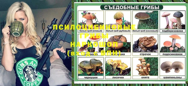 спиды Алексин