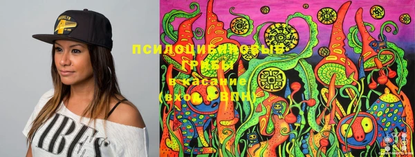 spice Алзамай