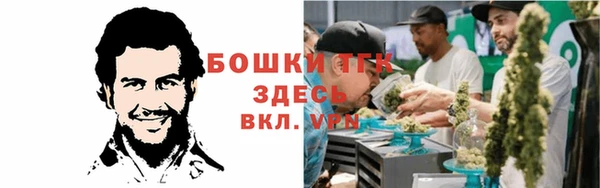 ALPHA-PVP Алексеевка