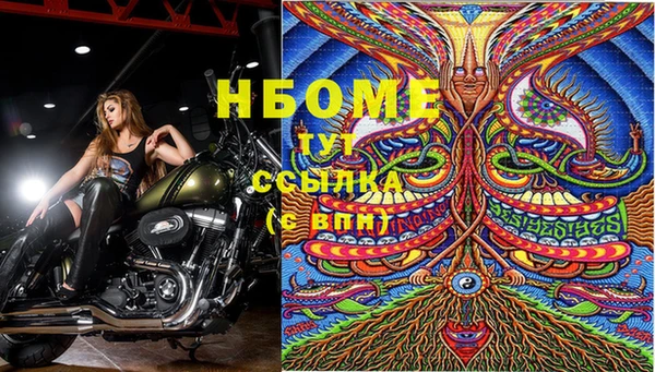 spice Алзамай
