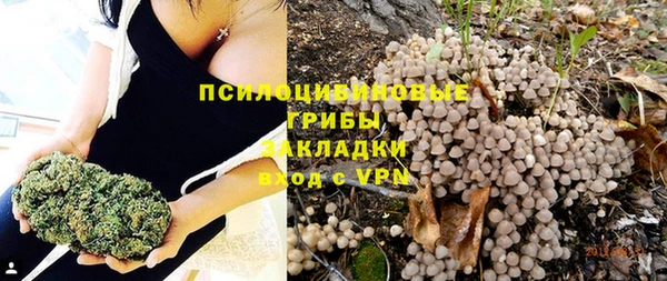spice Алзамай